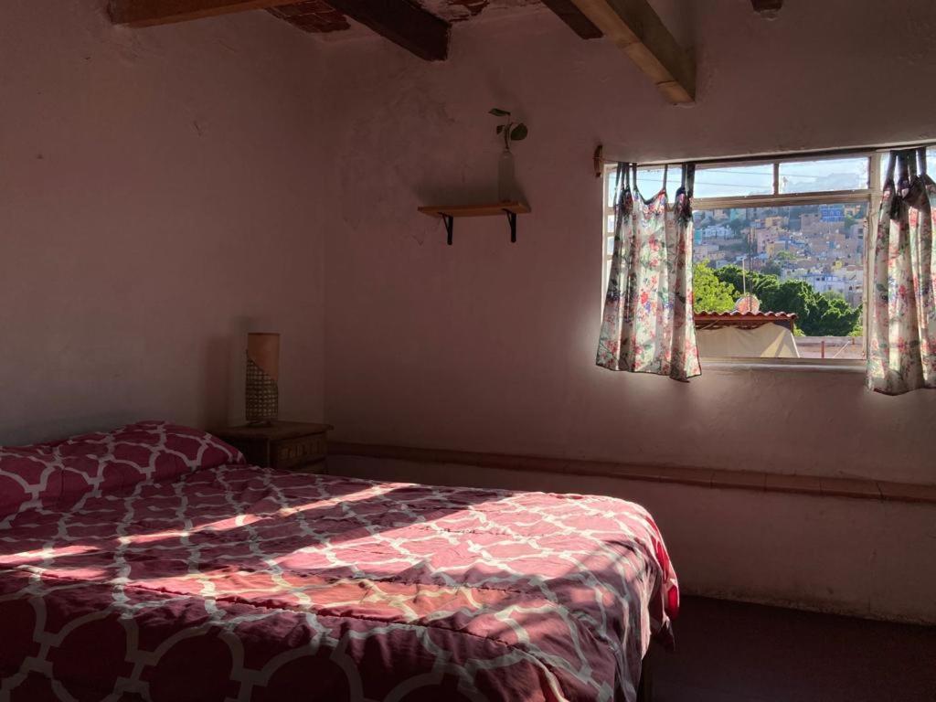 Hostalito Casa Alebrije Guanajuato Dış mekan fotoğraf